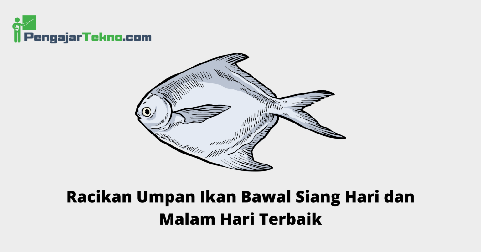 Racikan Umpan Ikan Bawal Siang Hari Dan Malam Hari Terbaik Pengajar Tekno